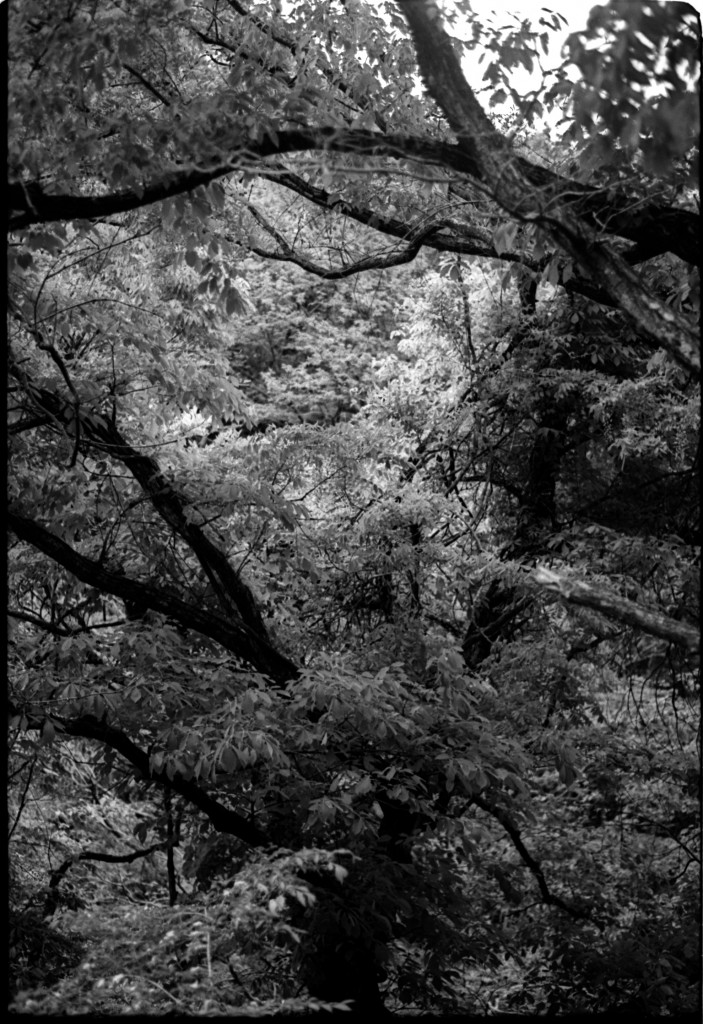 1-150504SP-retro80-030