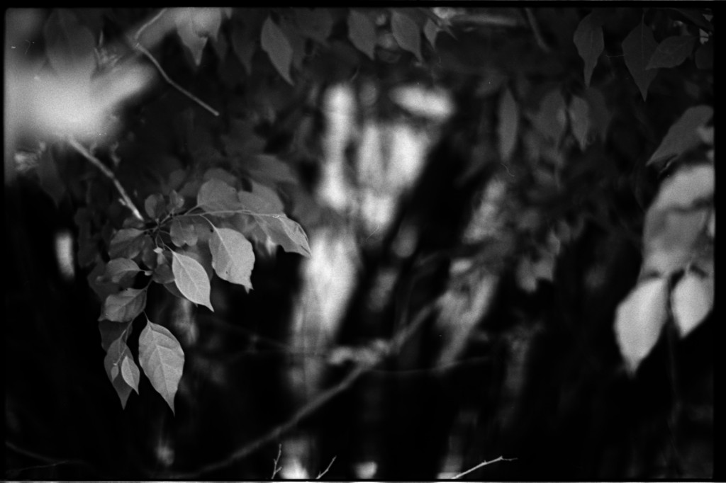 1-150504SP-retro80-035